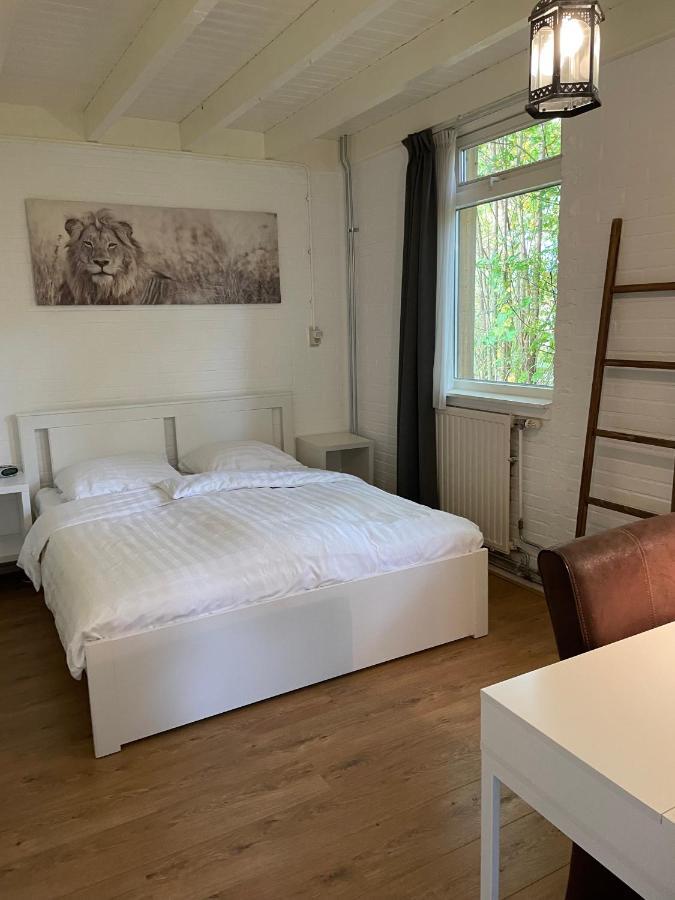 Villa Tofino, Een Comfortabel Vakantiehuis Naast Een Bos En Zwemmeer à Gasselte Extérieur photo