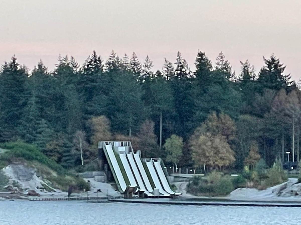 Villa Tofino, Een Comfortabel Vakantiehuis Naast Een Bos En Zwemmeer à Gasselte Extérieur photo